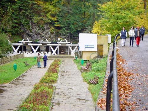 Pension Casa Alba Slanic Moldova Luaran gambar